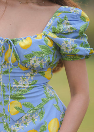 Lemon Bustier Dress