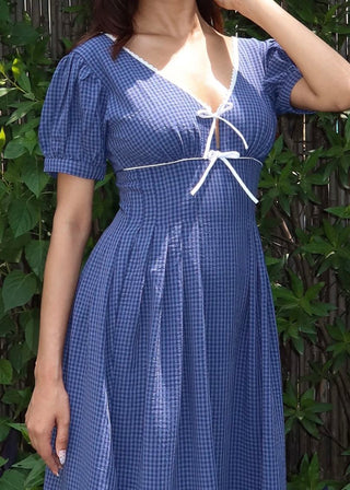 Blueberry Picnic Dress