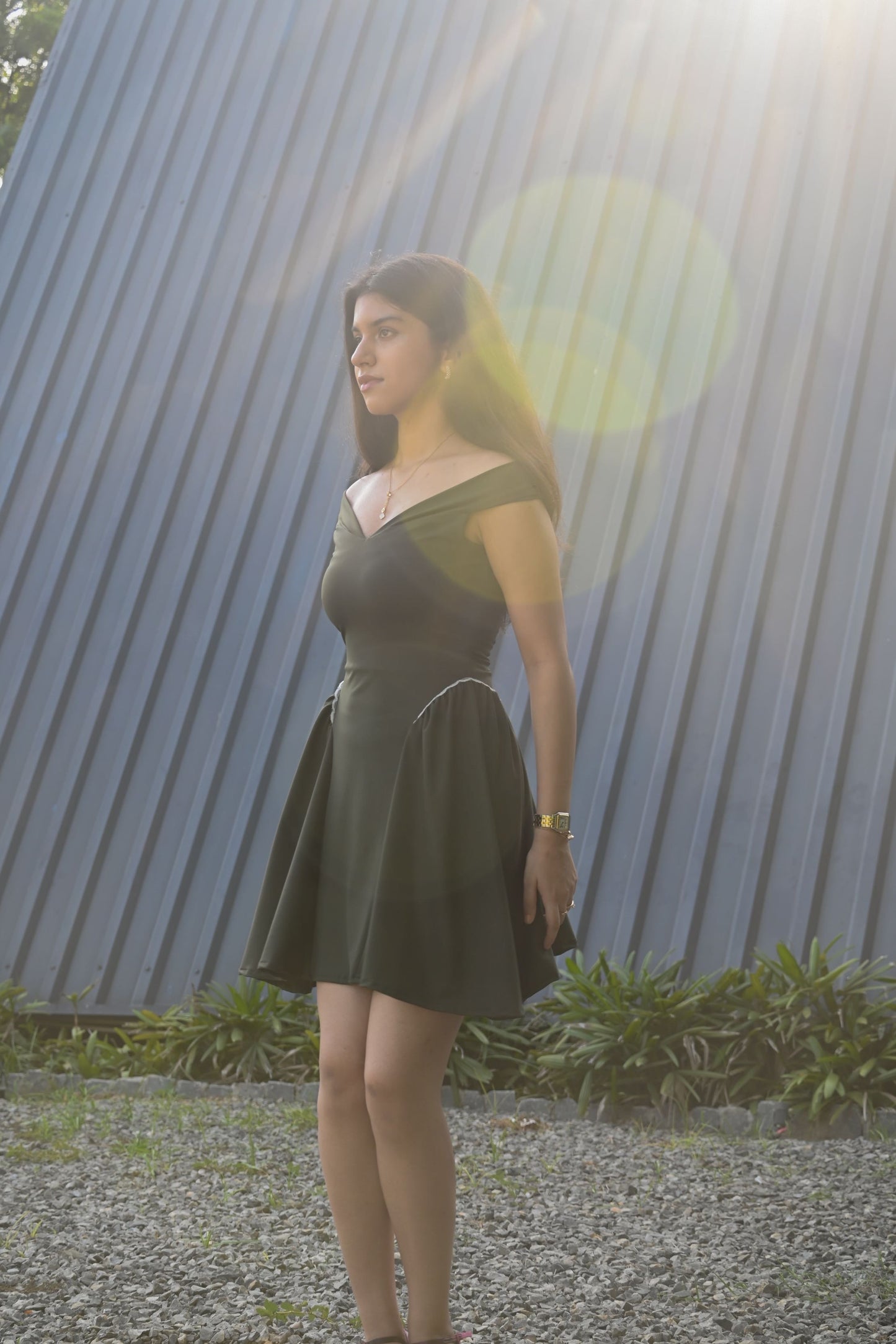 Delia Flare Dress