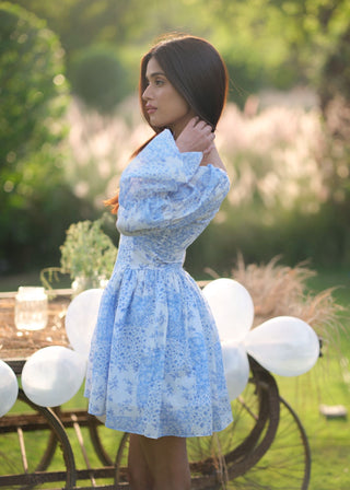Blue Daisy Mini Dress