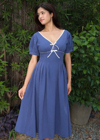 Blueberry Picnic Dress