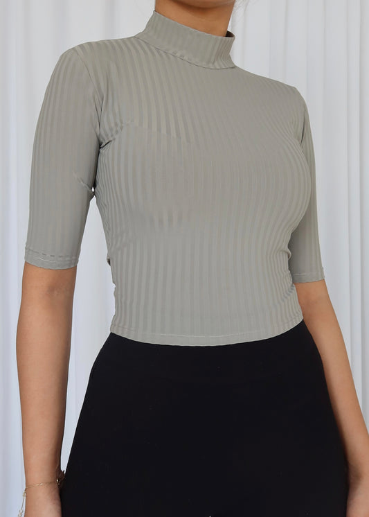 Turtle Neck knitted Top