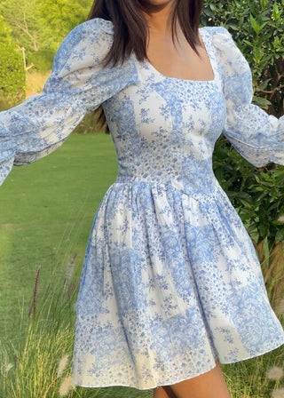 Blue Daisy Mini Dress