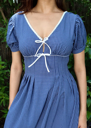 Blueberry Picnic Dress