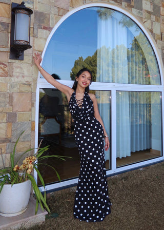 Paris Polka Dress